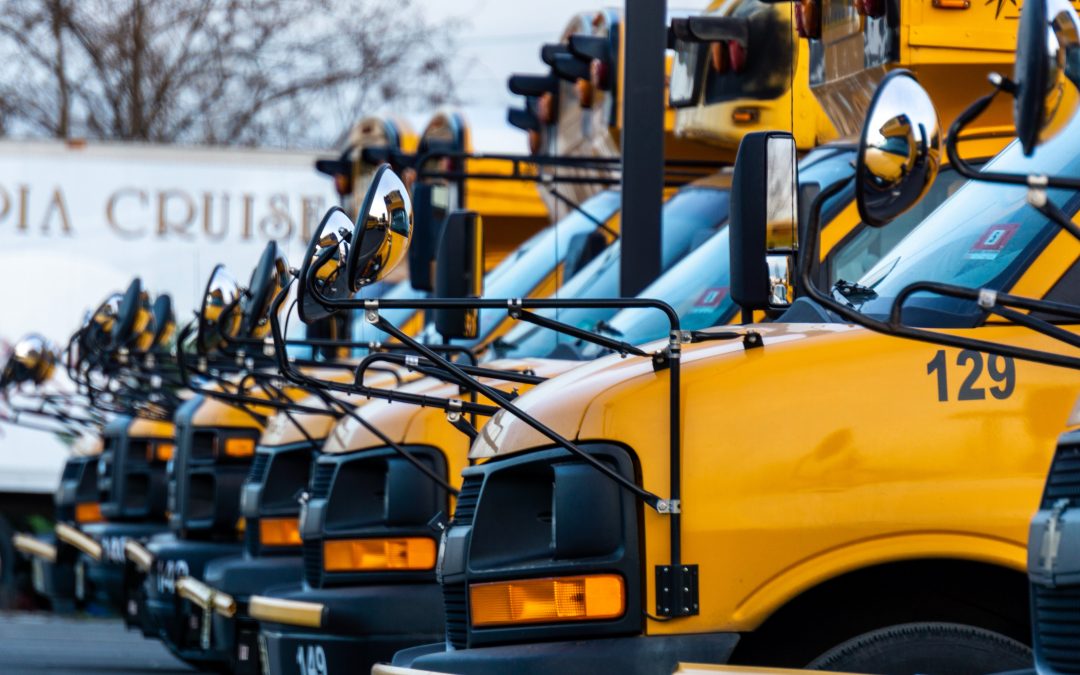 fleet of school buses lined up