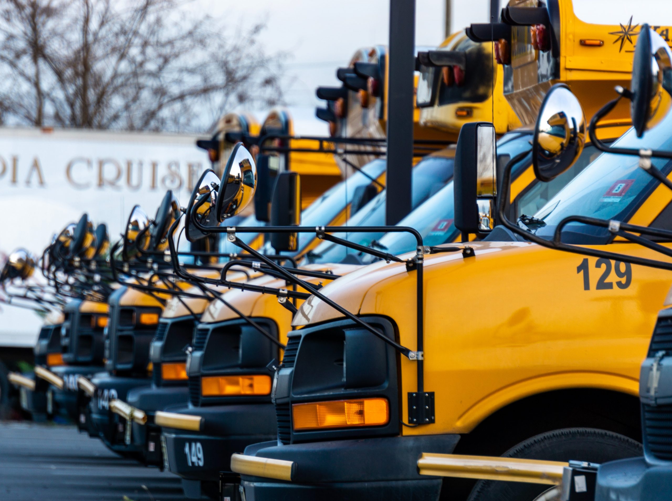 fleet of school buses lined up