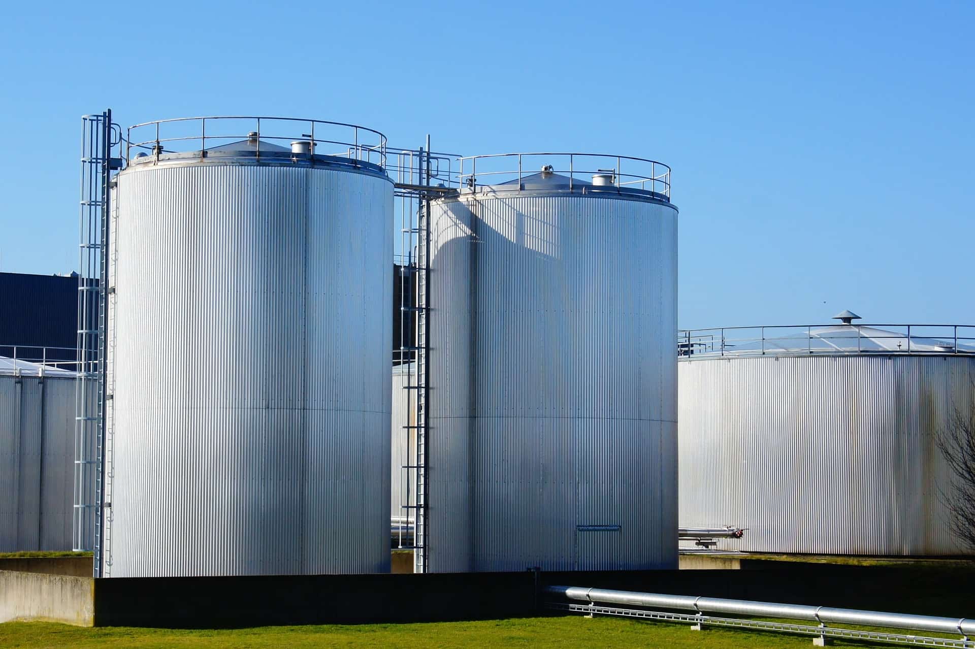 biodiesel fuel